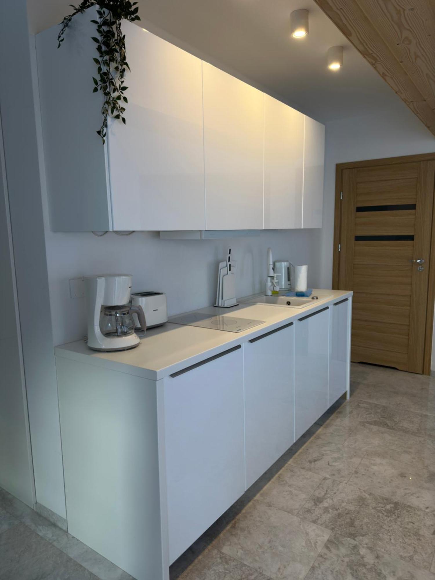 Apartamenty Willa Nika ซาโกปาเน ภายนอก รูปภาพ